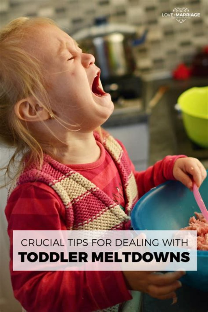 Are meltdowns normal for 2 year olds?