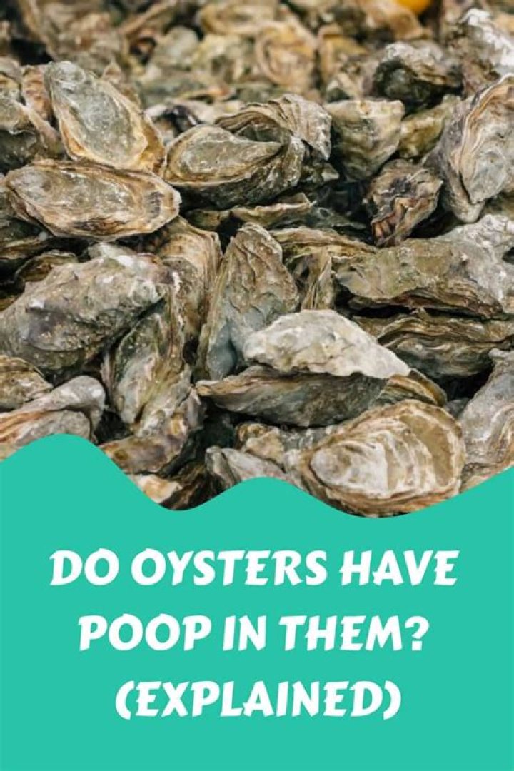 Are oysters full of poop?