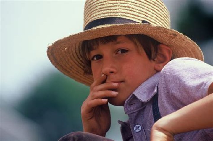 Are the Amish rich?