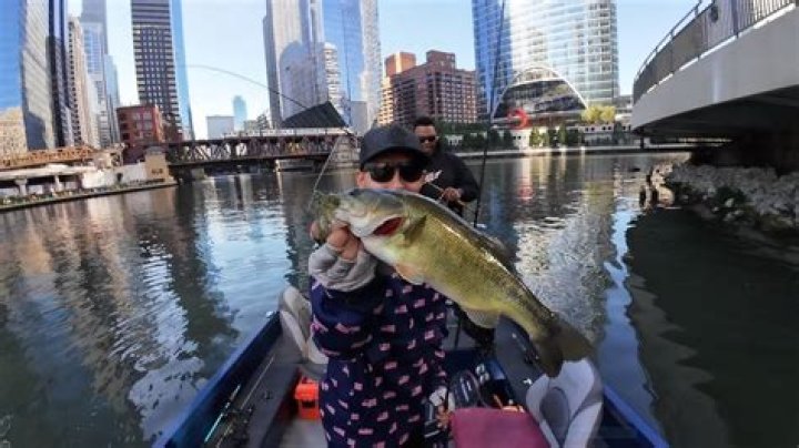Are there fish in the Chicago River?