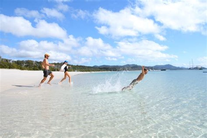 Are there Stingers at Whitehaven Beach?