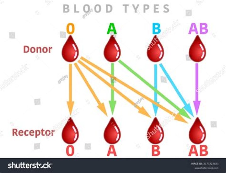 Are twins the same blood type?