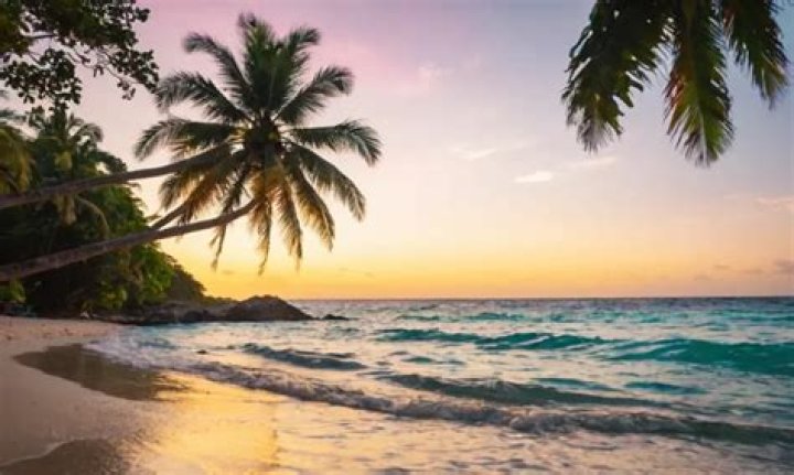 Can a felon travel to Jamaica?