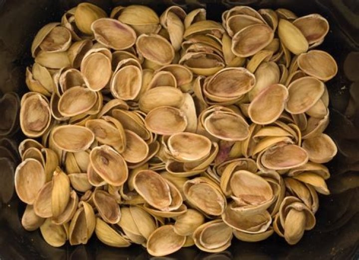 Can birds eat pistachio shells?