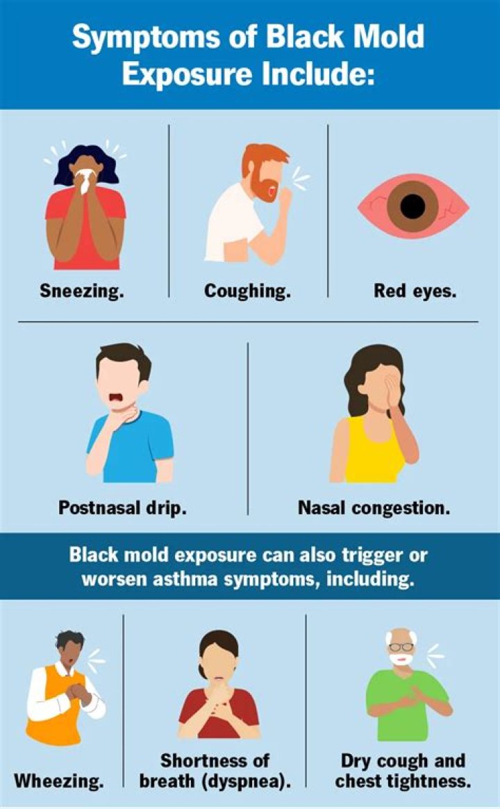 Can black mold grow in your brain?