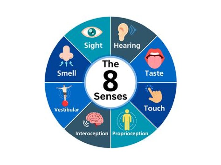 Can humans sense danger?