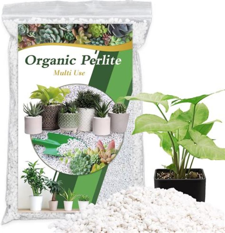Can I use Styrofoam instead of perlite?