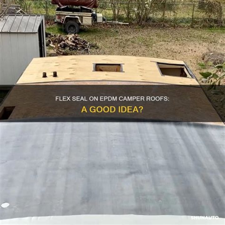 Can You Use Flex Seal on a rubber camper roof?