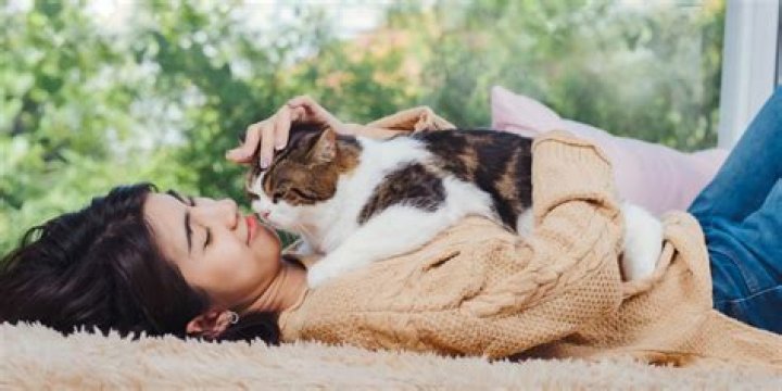 Do cats like being pet while sleeping?