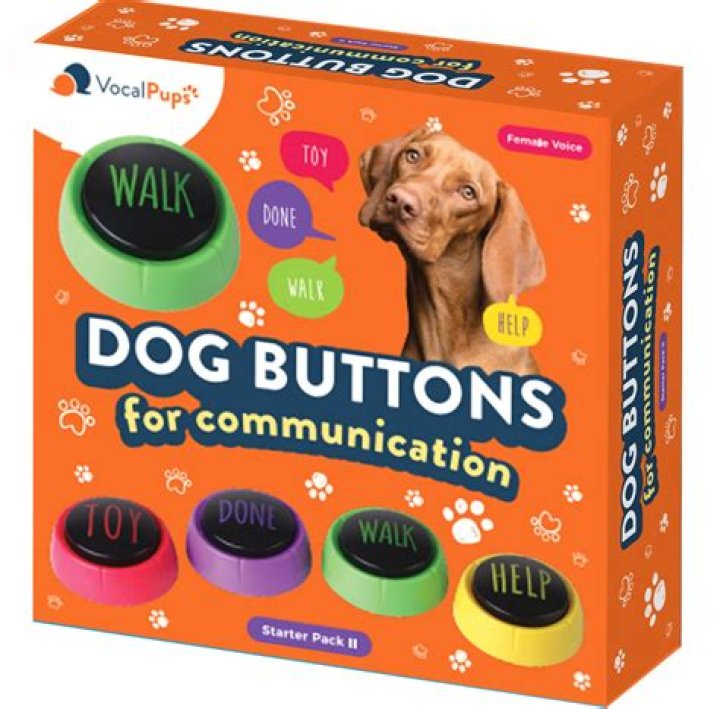 Do dogs talk back?