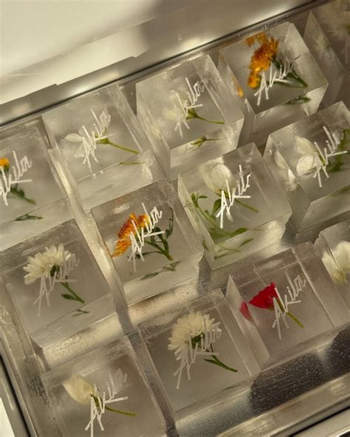 Do ice cubes help flowers?