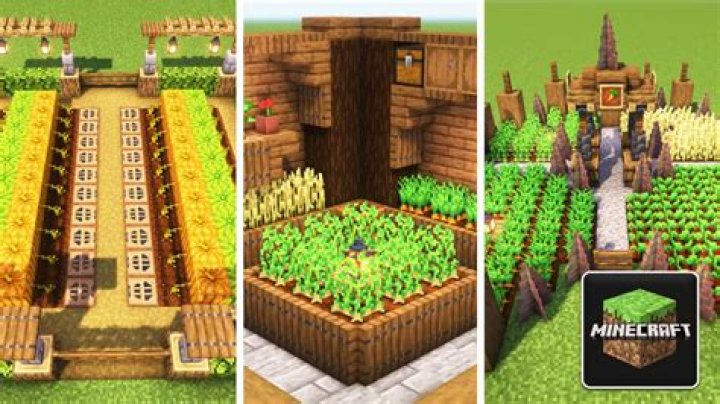 Do small farms make money?