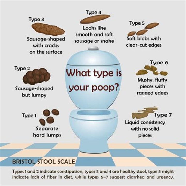 Do you poop out cholesterol?