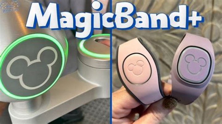 Does everyone in your party need a MagicBand?