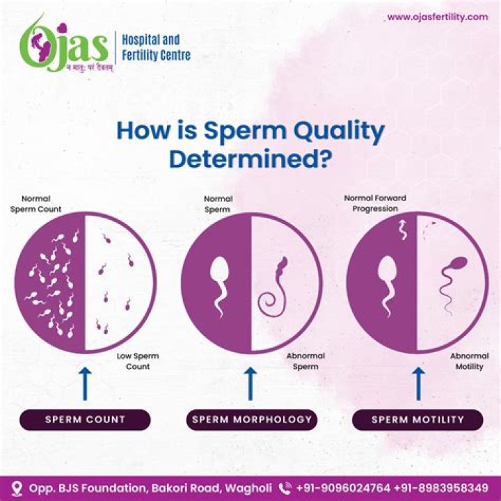 Does flying affect sperm quality?