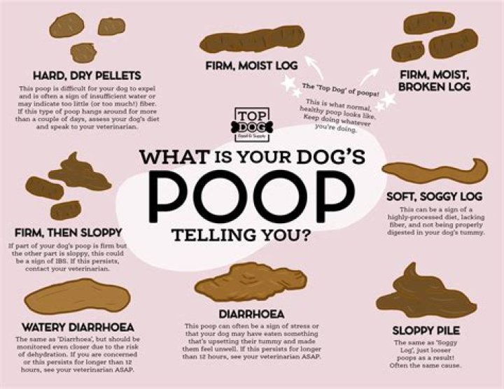 Does lime help dog pee?