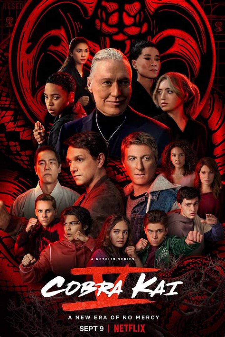 Has Cobra Kai been successful?