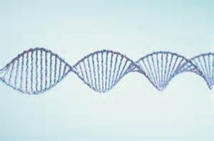 How accurate is a DNA test?