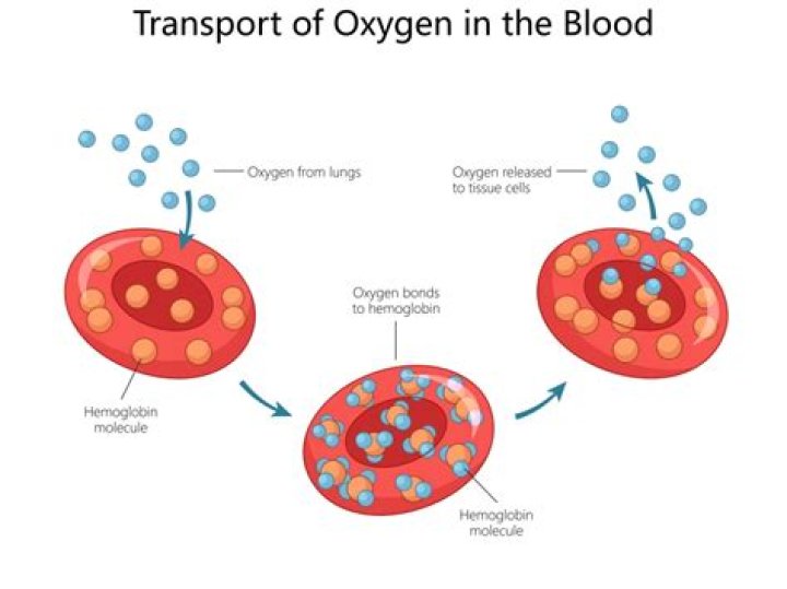 How can I get more oxygen to my cells?