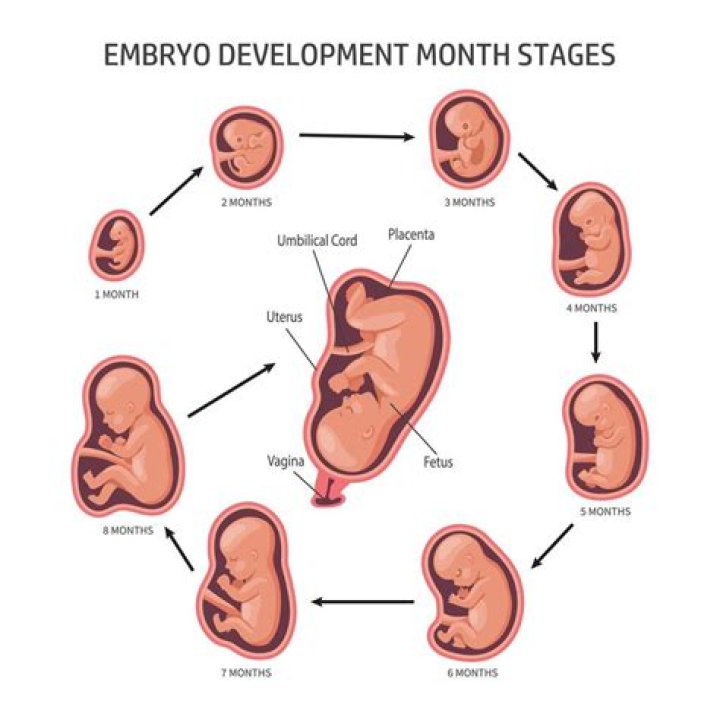 How can I make my baby a genius during pregnancy?