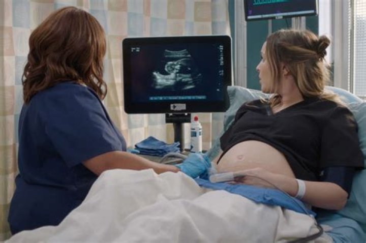 How did Izzie get pregnant?