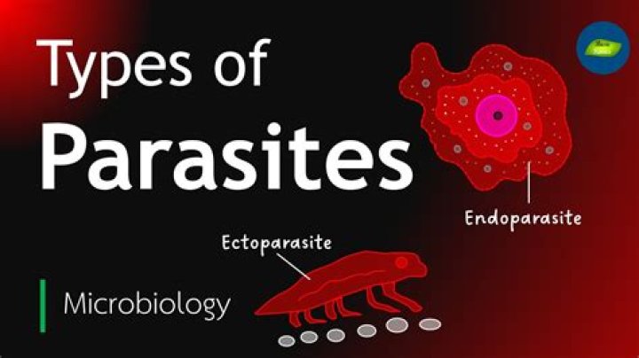 How do I identify parasites?
