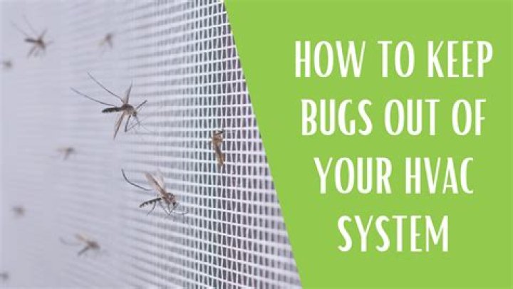 How do I keep bugs out of my air vents?