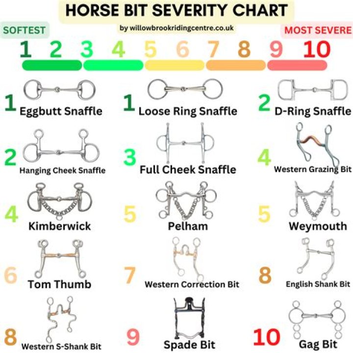 How do I know if my horse needs salt?