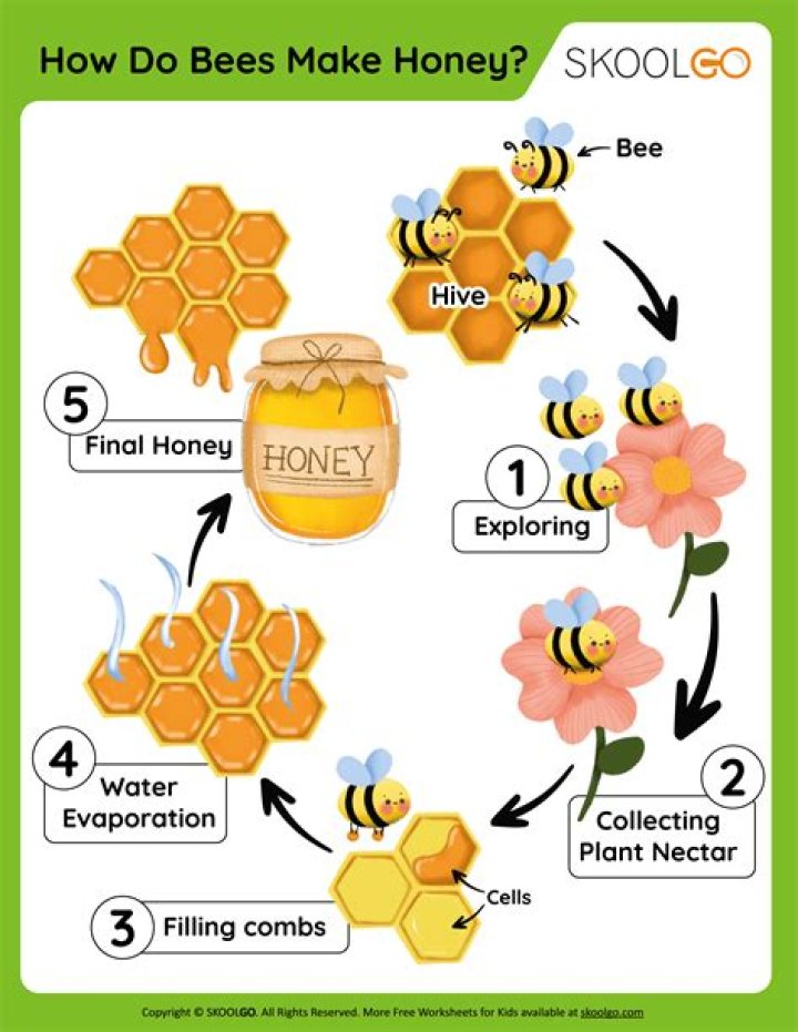 How do you know when a bee is angry?
