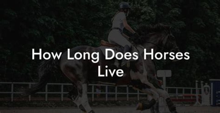 How long does a bull live?