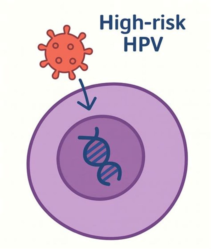 How long does high risk HPV last?