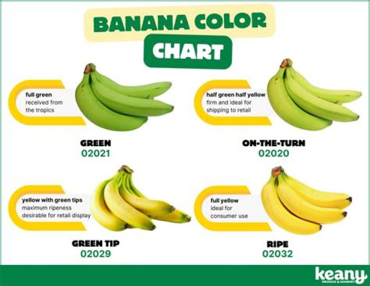 How many bananas can a baby eat in a day?