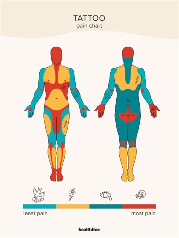 How many tattoos does the average female have?