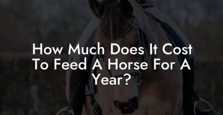 HoW much does it cost to feed 1000 worms?