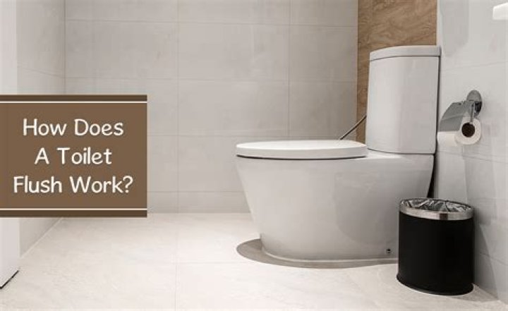 How much does it cost to flush a toilet 2021?