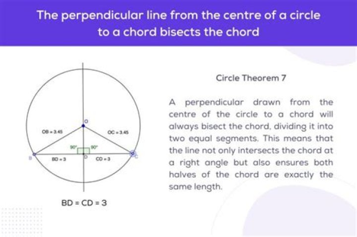 How much of The Circle show is real?