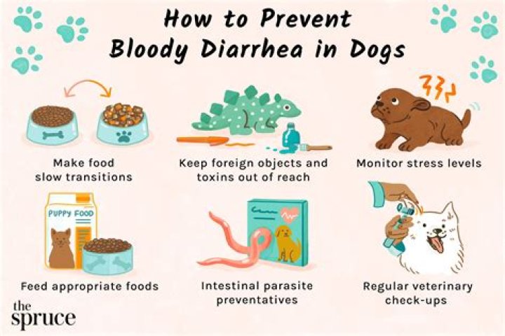 How much yogurt can I give my dog for diarrhea?