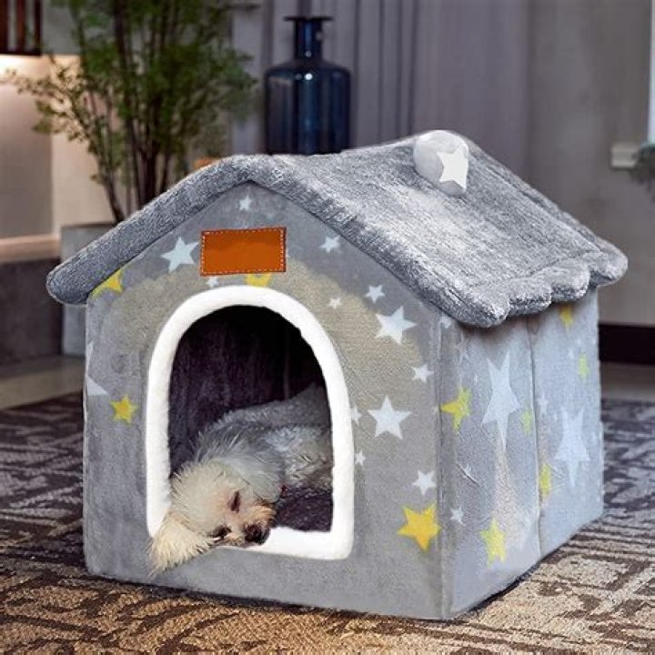 How warm should a house be for a dog?