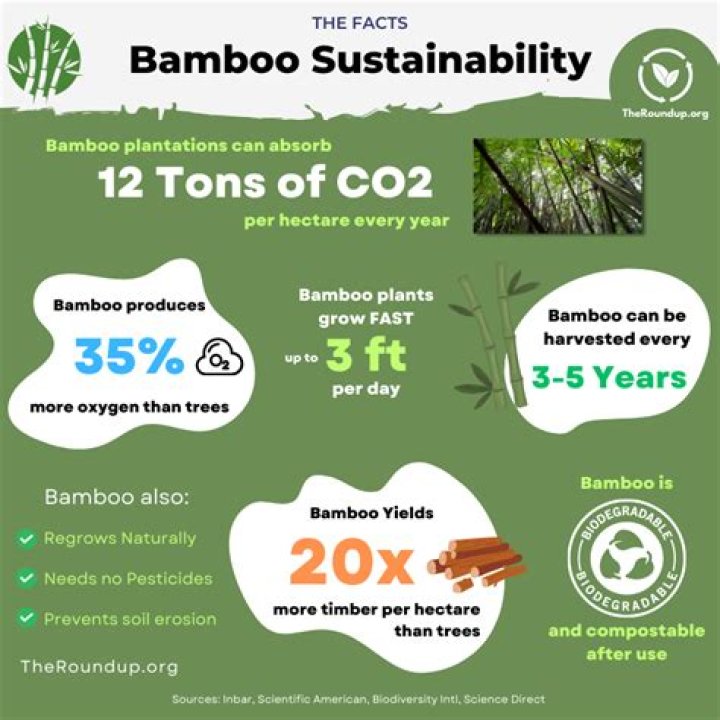 Is bamboo better for the environment than cotton?