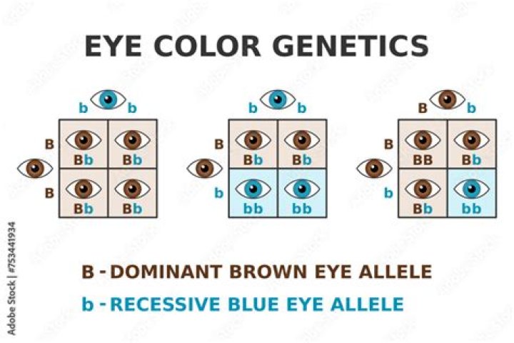 Is being pale a dominant gene?