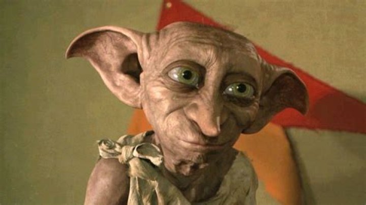 Is Dobby a boy?