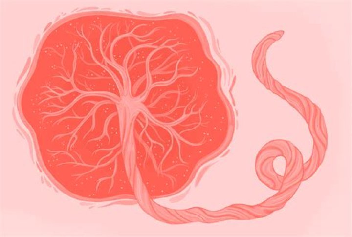 Is eating your placenta cannibalism?