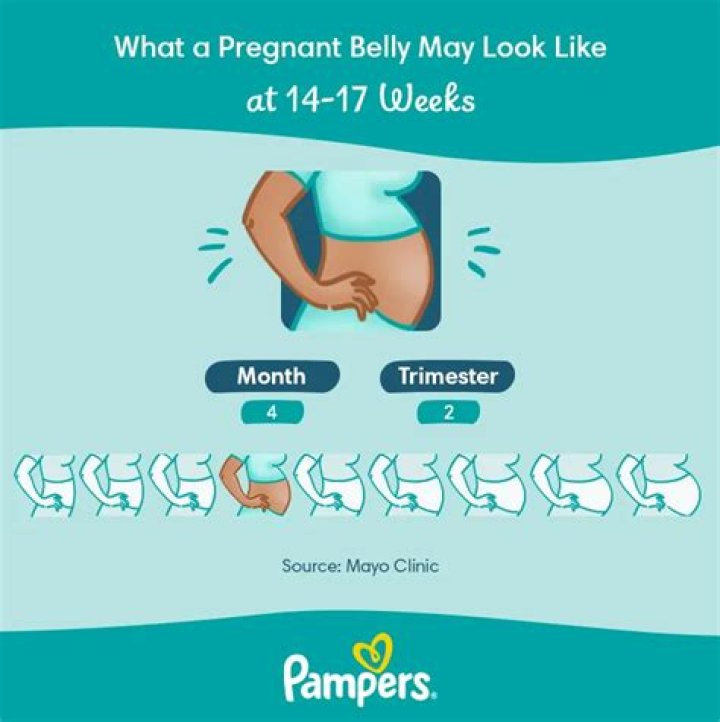 Is it normal to not feel anything at 14 weeks pregnant?