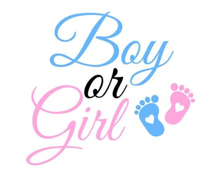 Is Jarvis a boy or girl?