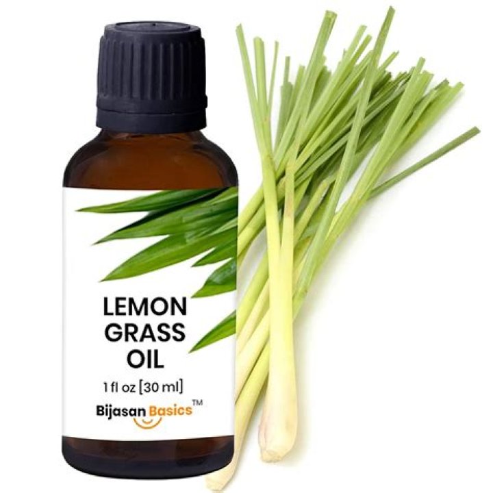 Is lemongrass oil toxic?