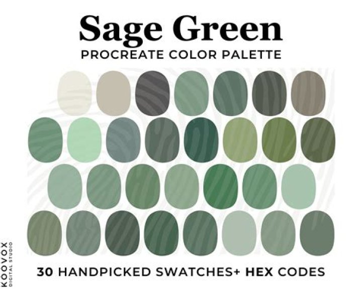 Is Sage a Chinese?