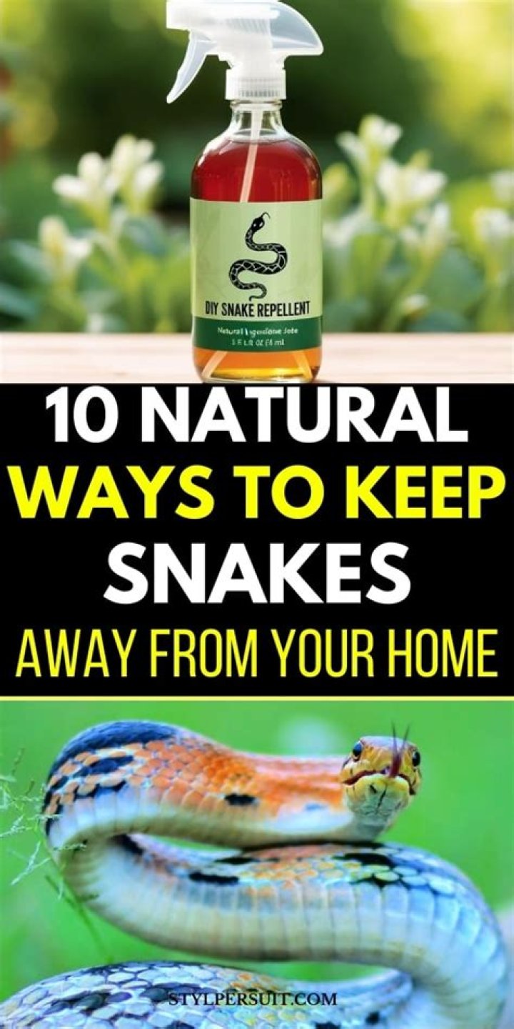What animals keep rattlesnakes away?