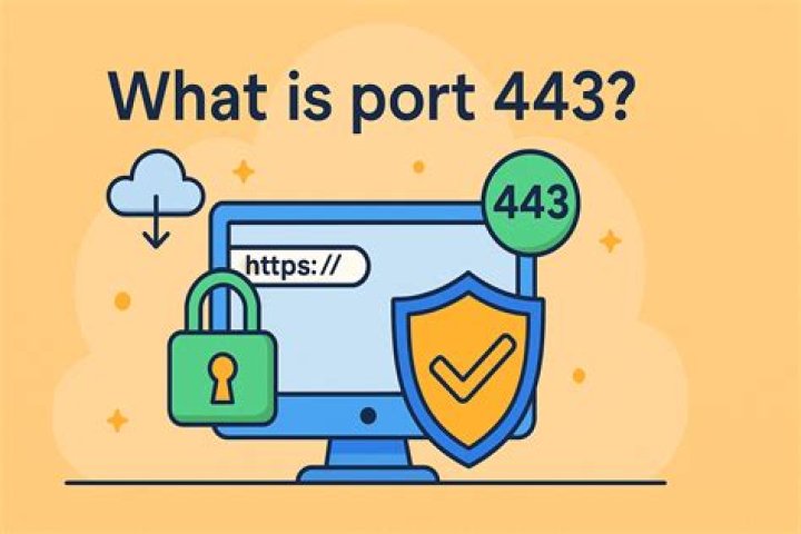 What are port 80 and 443?