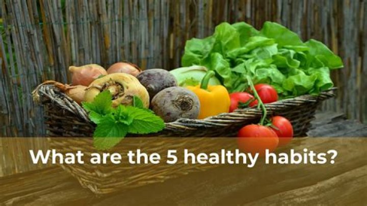 What are the 5 healthy habits?