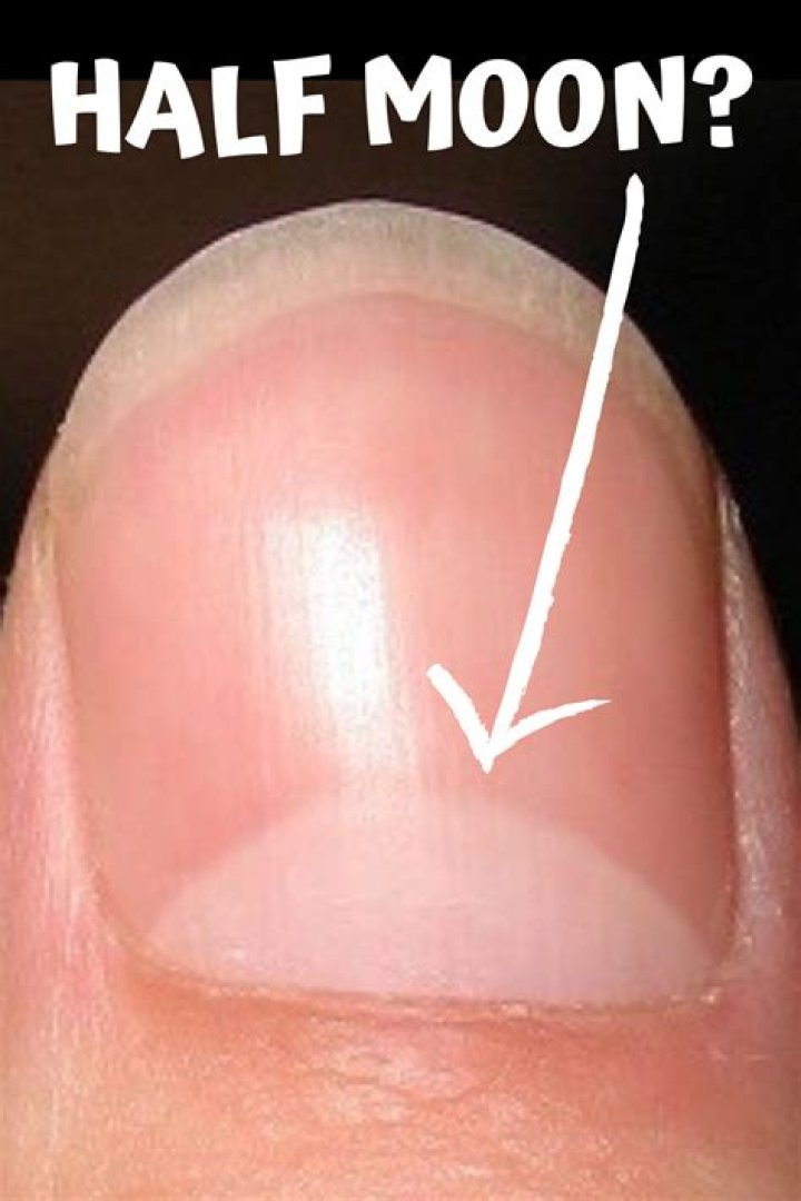 What are the half moons on fingernails?